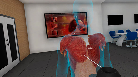 Designing in a virtual environment